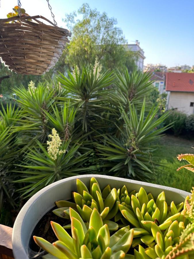 Location De Chambre Privee Dans Residence Prive, Jardins Et Parking Gratuit 1 Min To Tramway Et 9 Min De Centre-Ville, Accessibilite A Plusieurs Transports Nizza Exterior foto